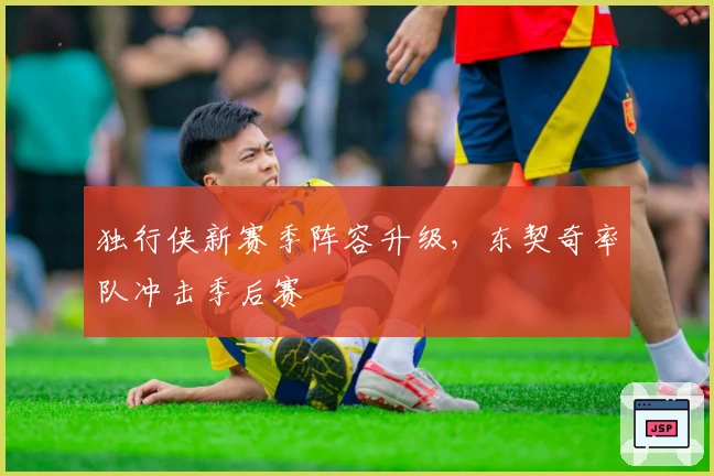 独行侠新赛季阵容升级，东契奇率队冲击季后赛